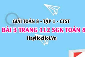 Giải bài 3 trang 112 Toán 8 Tập 1 SGK Chân trời sáng tạo: Đọc và phân tích biểu đồ cột